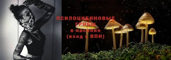 a pvp Богородск