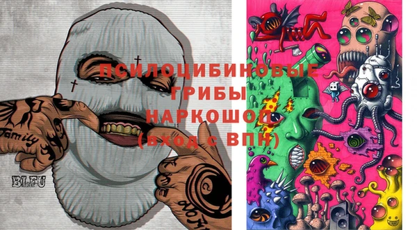 a pvp Богородск