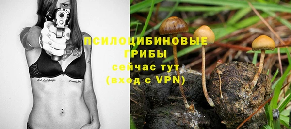 прущие крисы Богданович