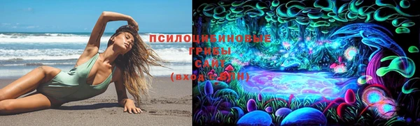 a pvp Богородск