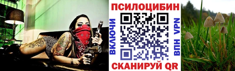 hydra рабочий сайт  Новосибирск  Псилоцибиновые грибы Psilocybe 